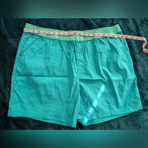 The North Face Men's XXL Class V Pull-On Shorts